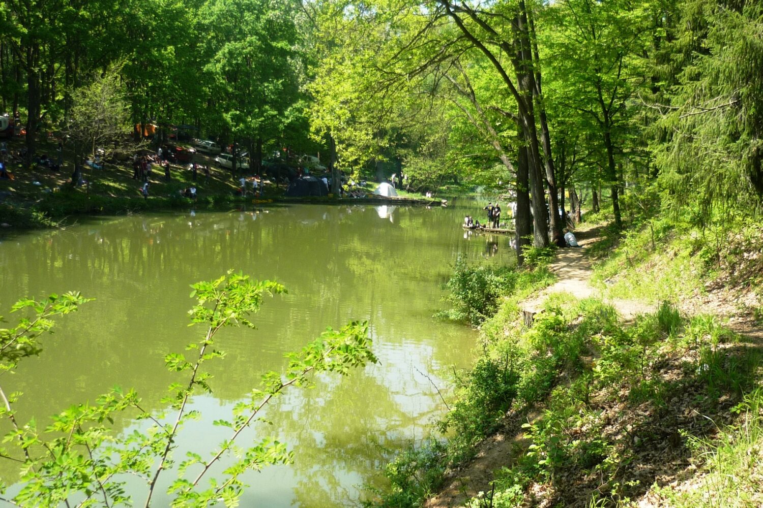 Pogled na jezero sa pešačke staze, kroz drveće i rastinje na izletištu Trešnja.
