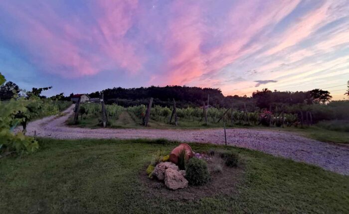 Vinarija Zorča, Lazarevac