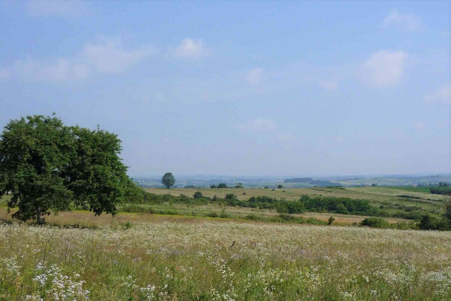 Barajevo je idealno za jednodnevni izlet u prirodi.