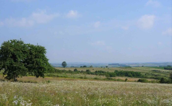 Barajevo je idealno za jednodnevni izlet u prirodi.