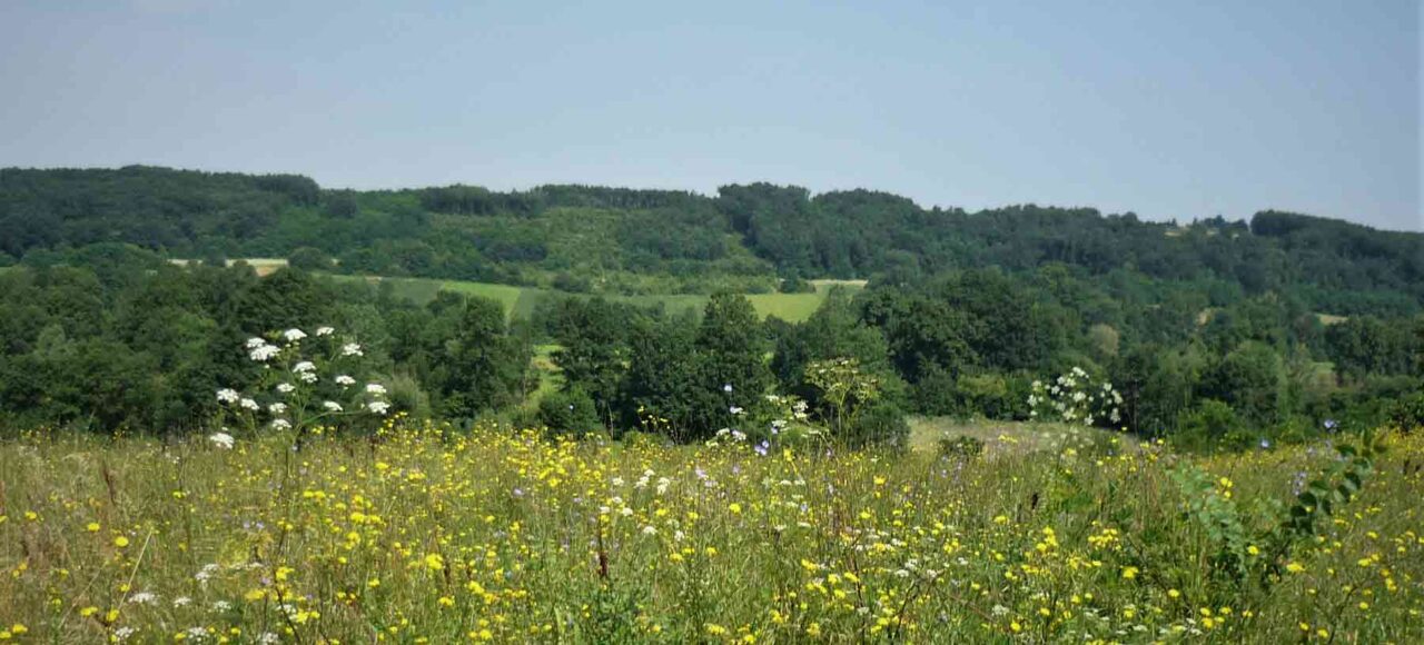 Priroda u Beogradu - Barajevo.