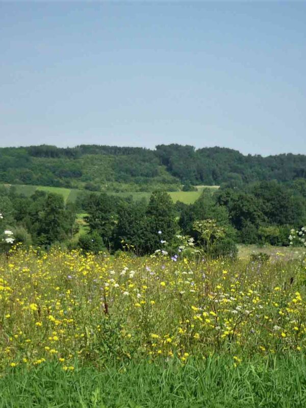 Priroda u Beogradu - Barajevo.