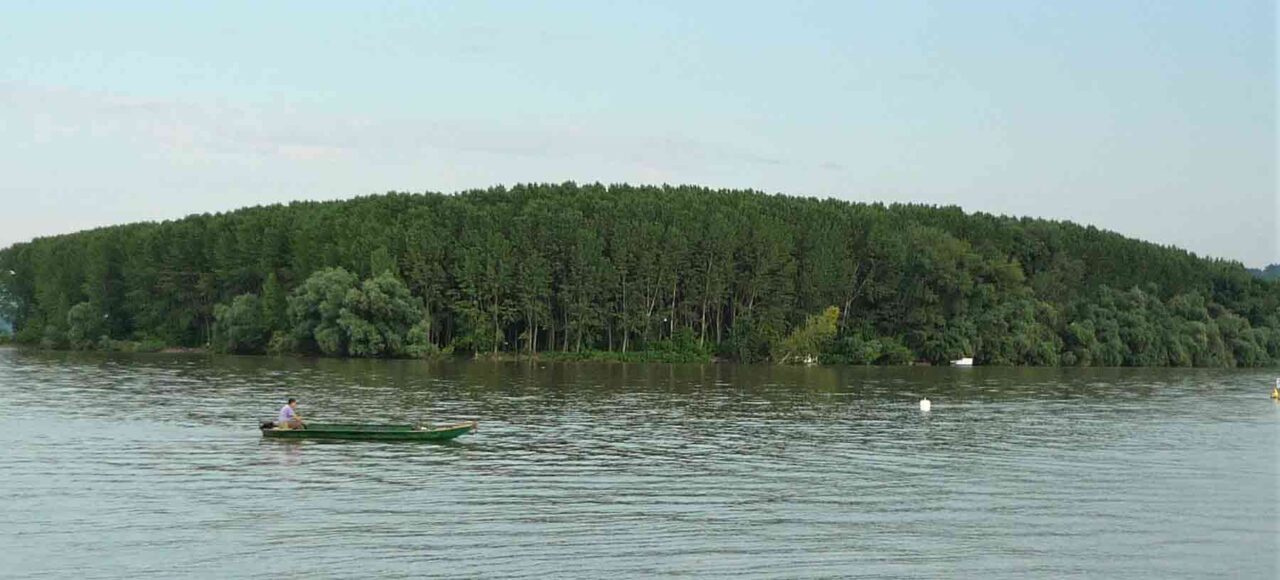 Bogatstvo prirode na adama u Grockoj