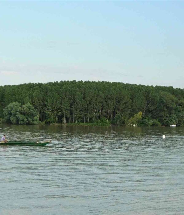 Bogatstvo prirode na adama u Grockoj