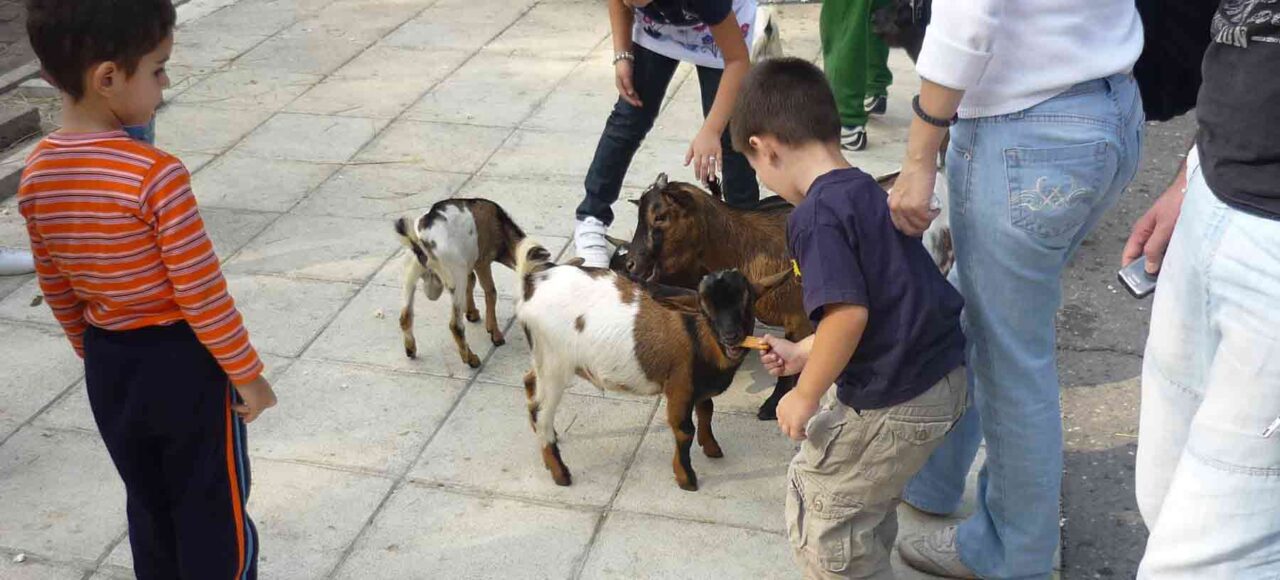 Radost dece u diretnom kontaktu sa životinjama.