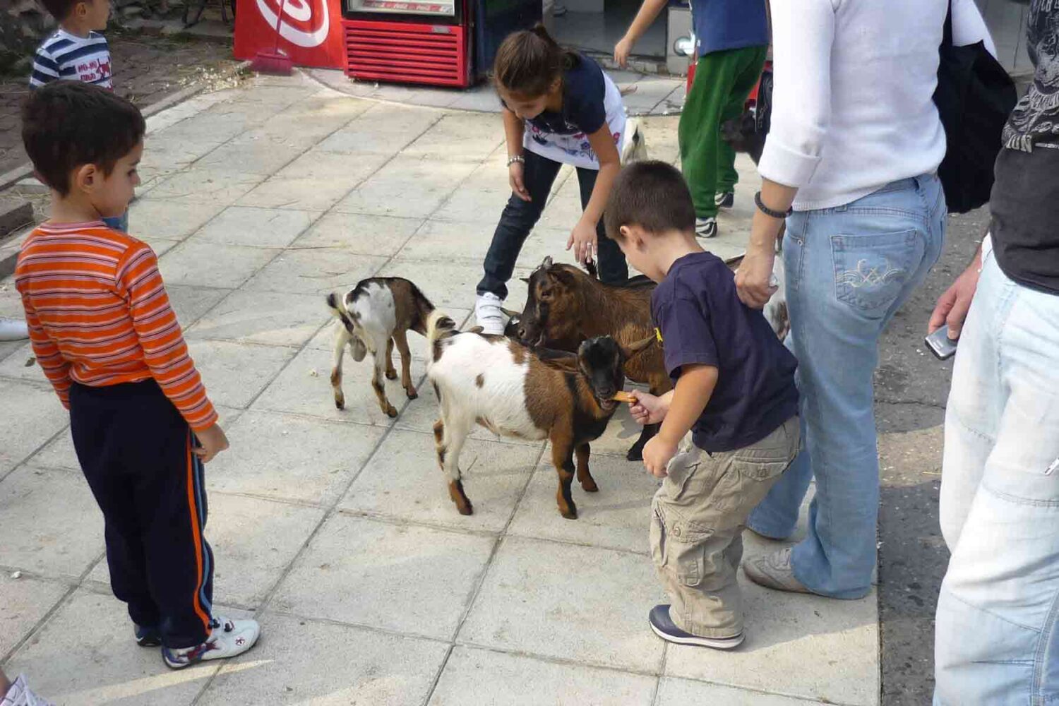 Radost dece u diretnom kontaktu sa životinjama.