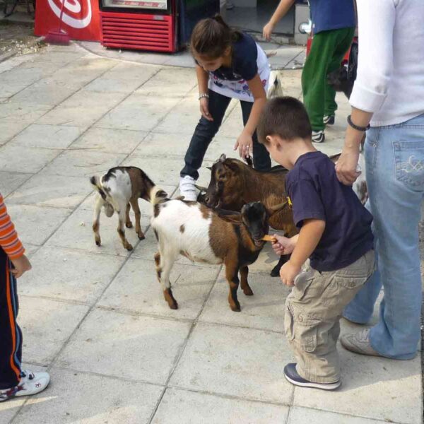 Radost dece u diretnom kontaktu sa životinjama.