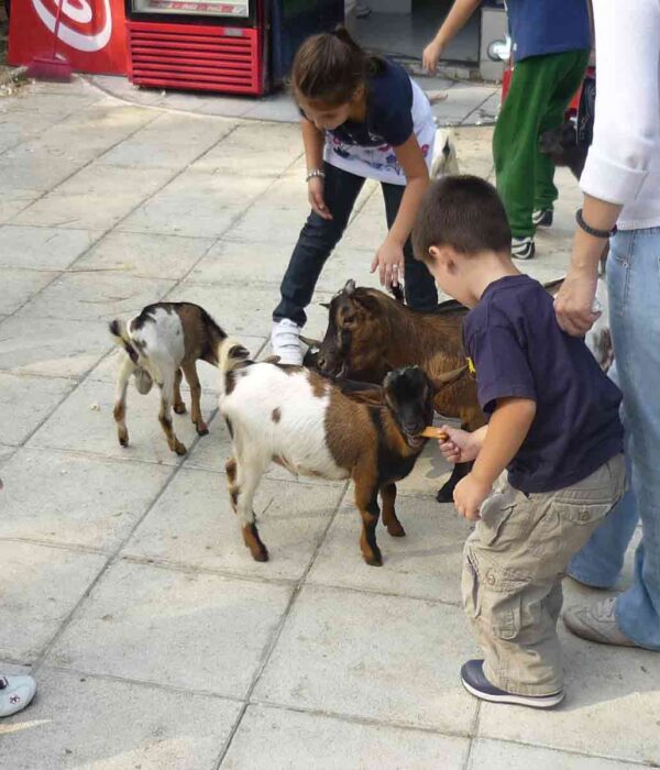 Radost dece u diretnom kontaktu sa životinjama.
