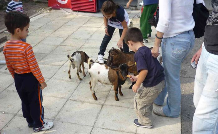 Radost dece u diretnom kontaktu sa životinjama.