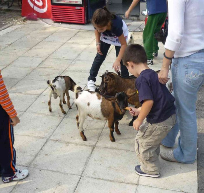 Radost dece u diretnom kontaktu sa životinjama.