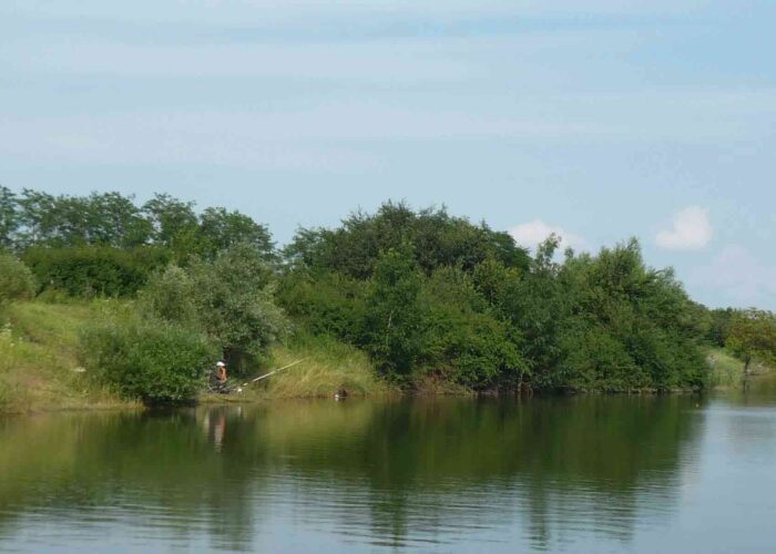 Pecanje na jezerima pokazuju snagu koju ima ribolovni turizam u Beogradu.