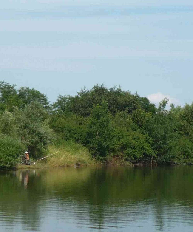 Pecanje na jezerima Beograda.
