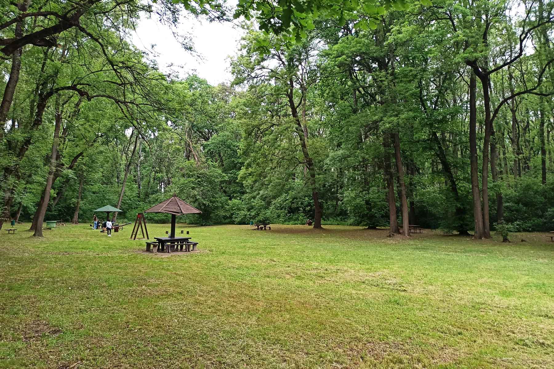 Prostrana čistina u park šumi Zabran sa natkrivenim stolovima i mestima za roštilj, okružena drvećem.