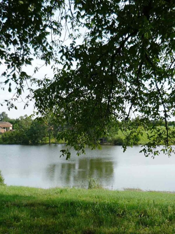 Izletišta u okolini Beograda - Rabrovacko jezero