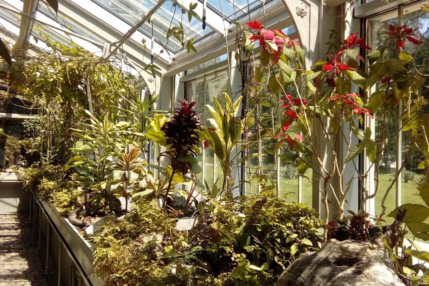 Staklena bašta za brojne tropske i suptropske biljke