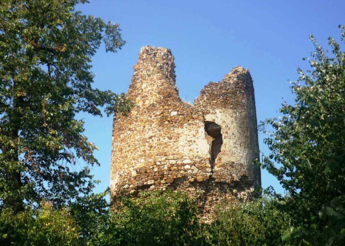 izleti zapadno od Beograda - Ostaci Vrdničke kule na padinama Fruške gore