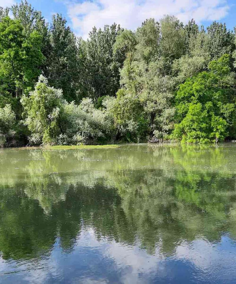 Reke u Beogradu - Tamis