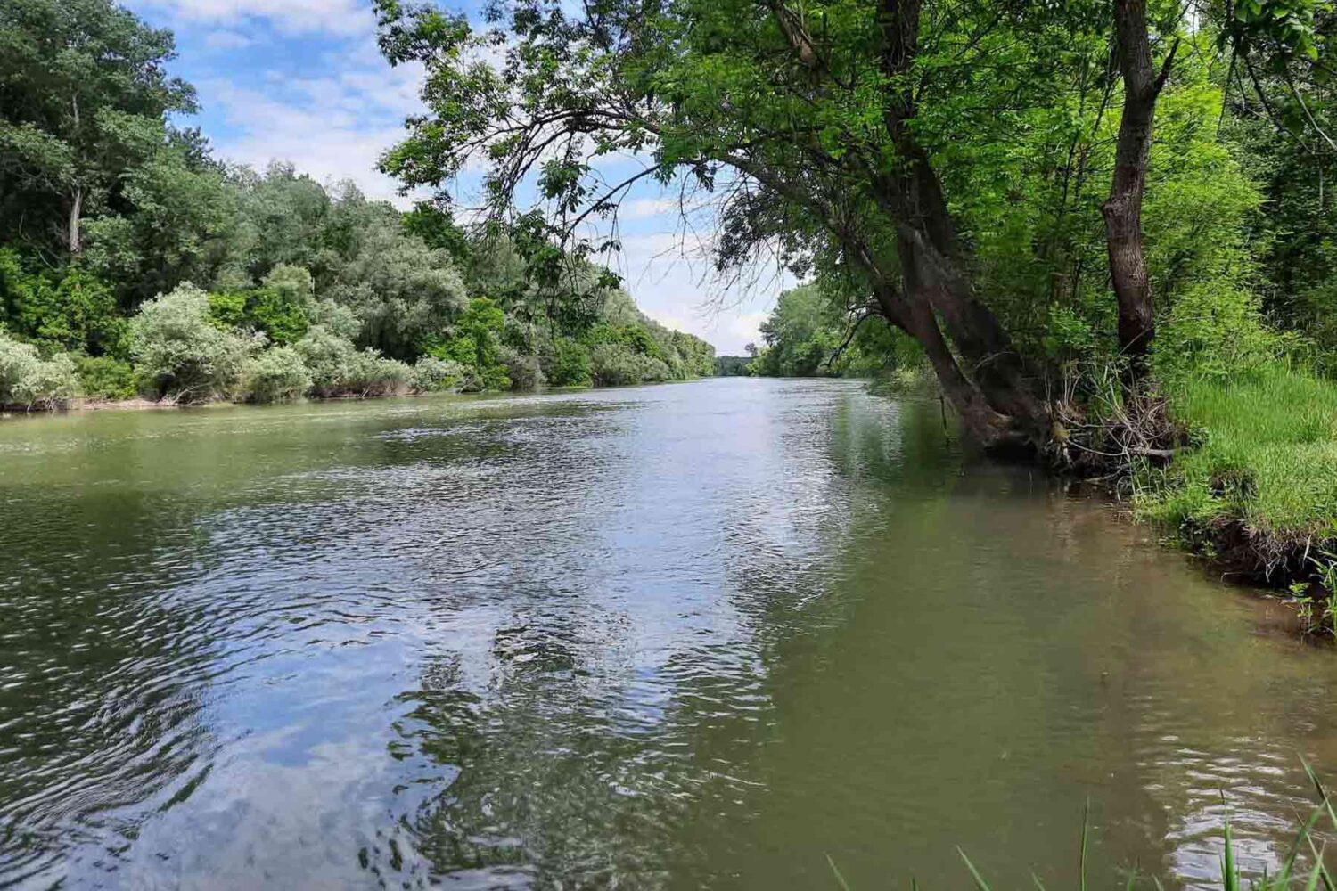 Reke Beograda - reka Tamis