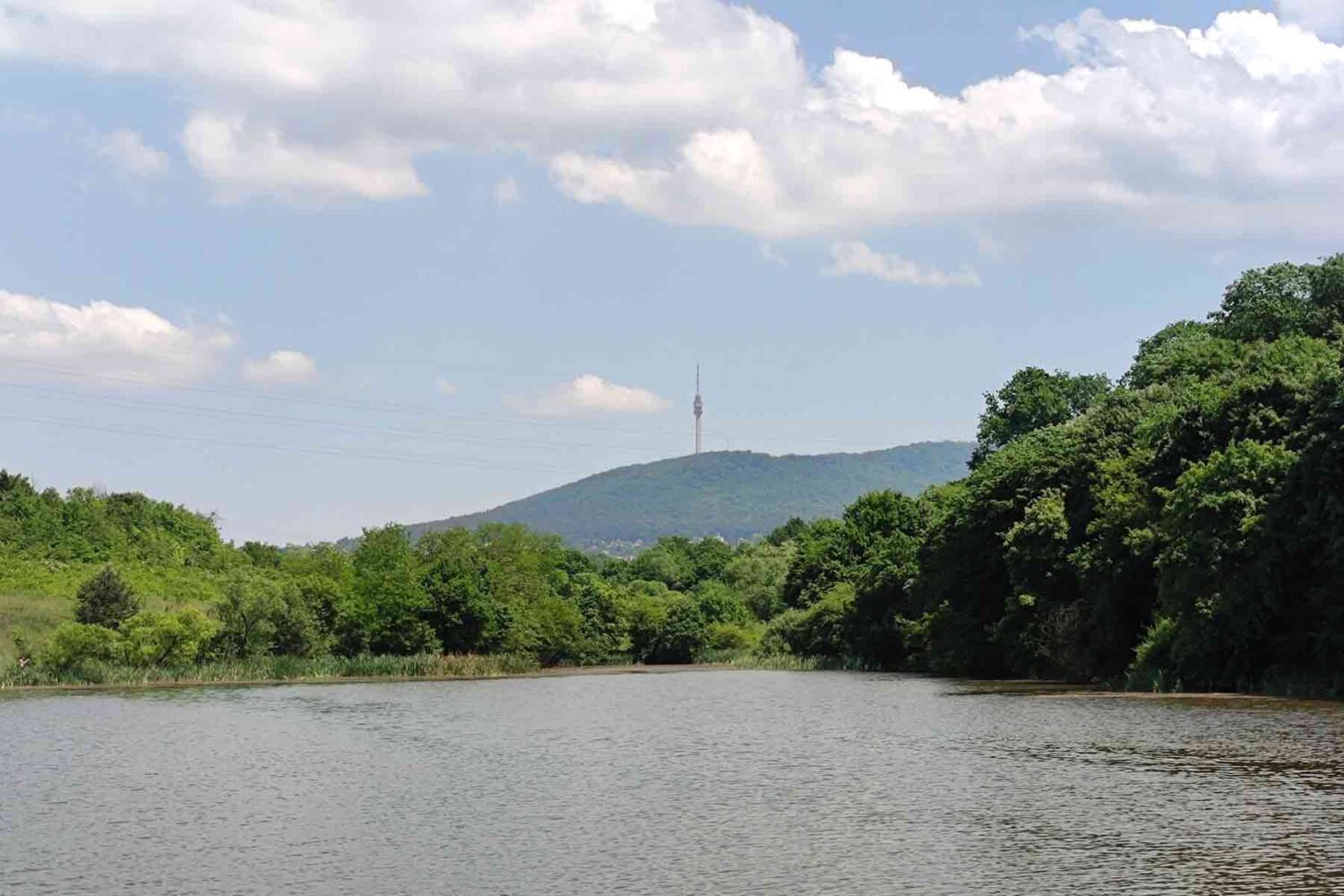 Avala i toranj - Vozdovac