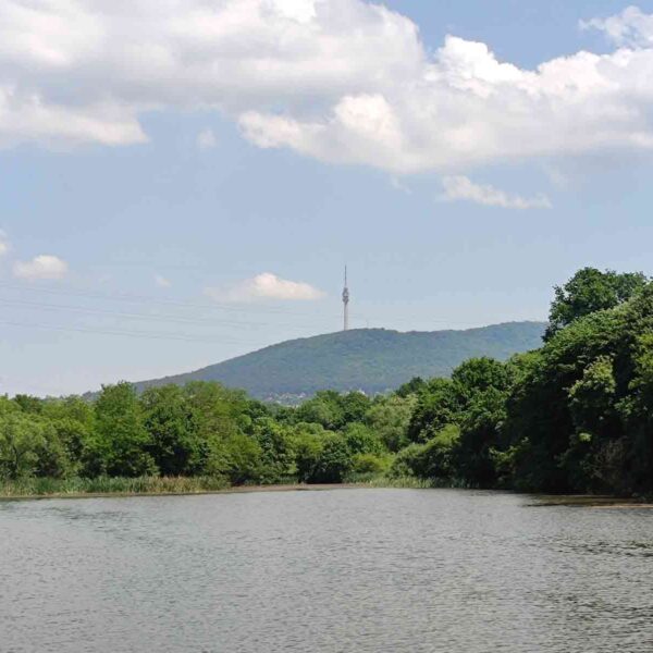 Avala i toranj - Vozdovac