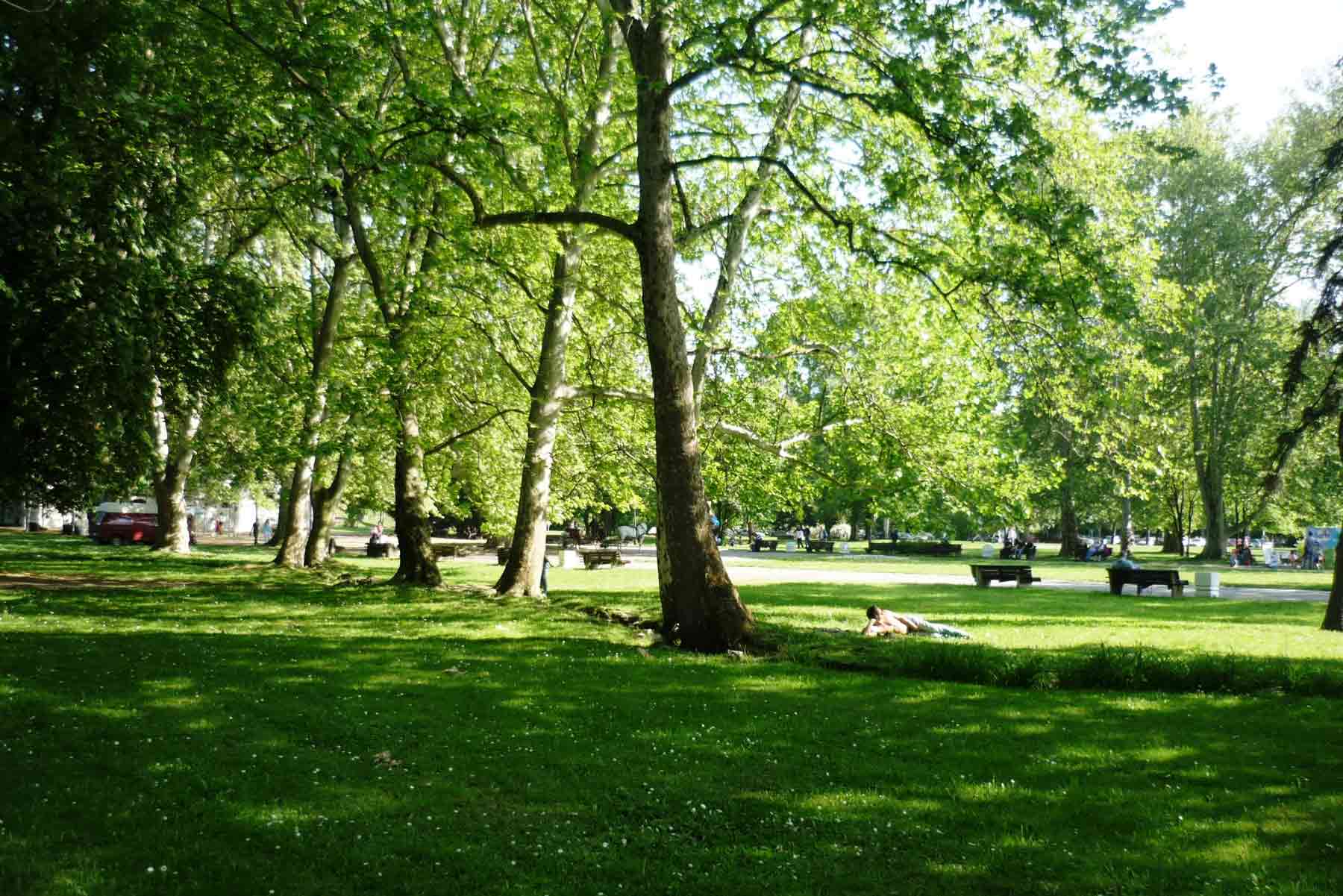 Drvene klupe na travnjaku u Topčiderskom parku, okružene spomenicima i uređenim stazama.