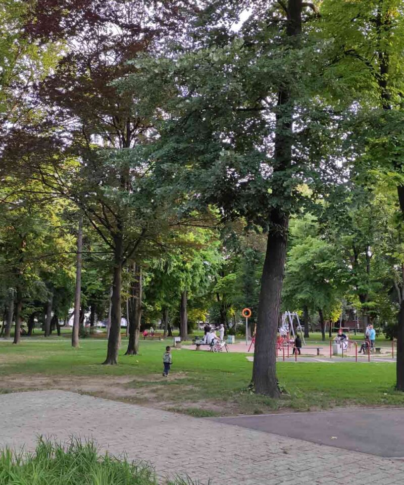 Parkovi Beograda - glavni park u Zemunu