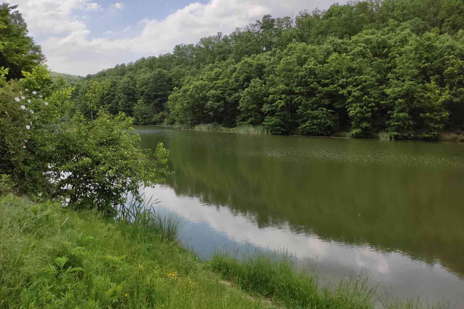 Beogradska jezera - Bela reka
