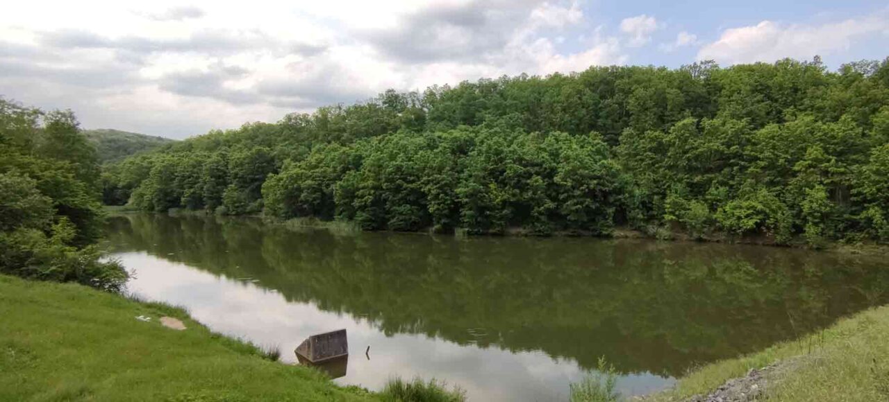 Listopadne šume prave hlad posetiocima ovog izletišta Beograda