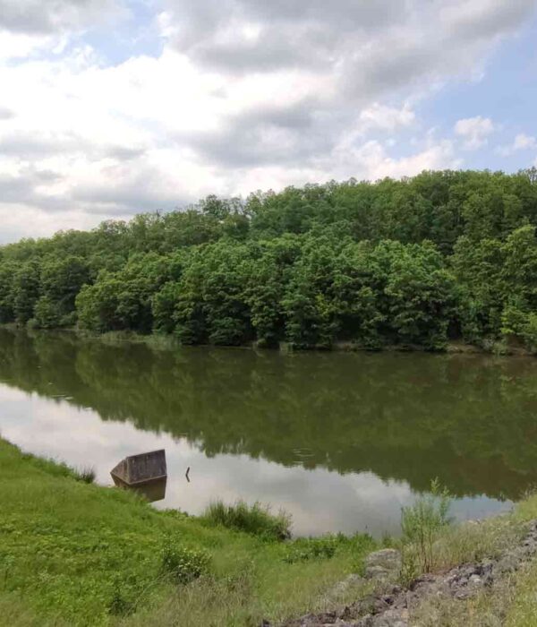 Listopadne šume prave hlad posetiocima ovog izletišta Beograda