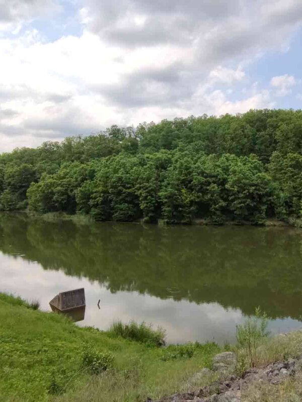 Listopadne šume prave hlad posetiocima ovog izletišta Beograda