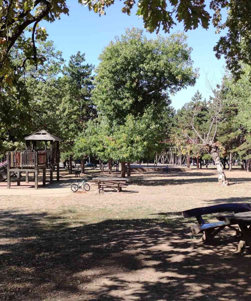 Dečja igra i odmor za starije - park na Banovom brdu