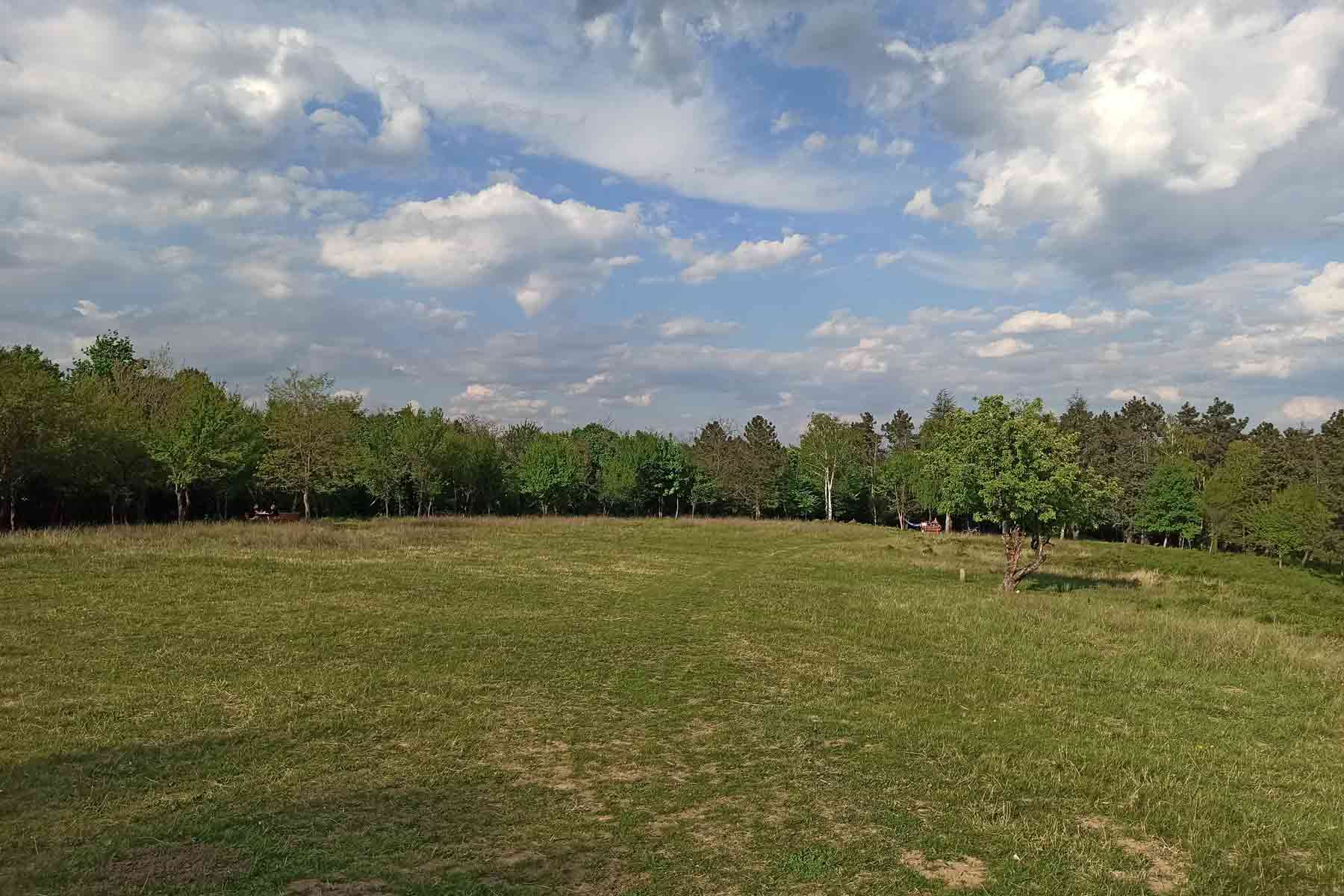 Glavna poljana u Stepinom lugu idealna za piknik, igre i porodični izlet