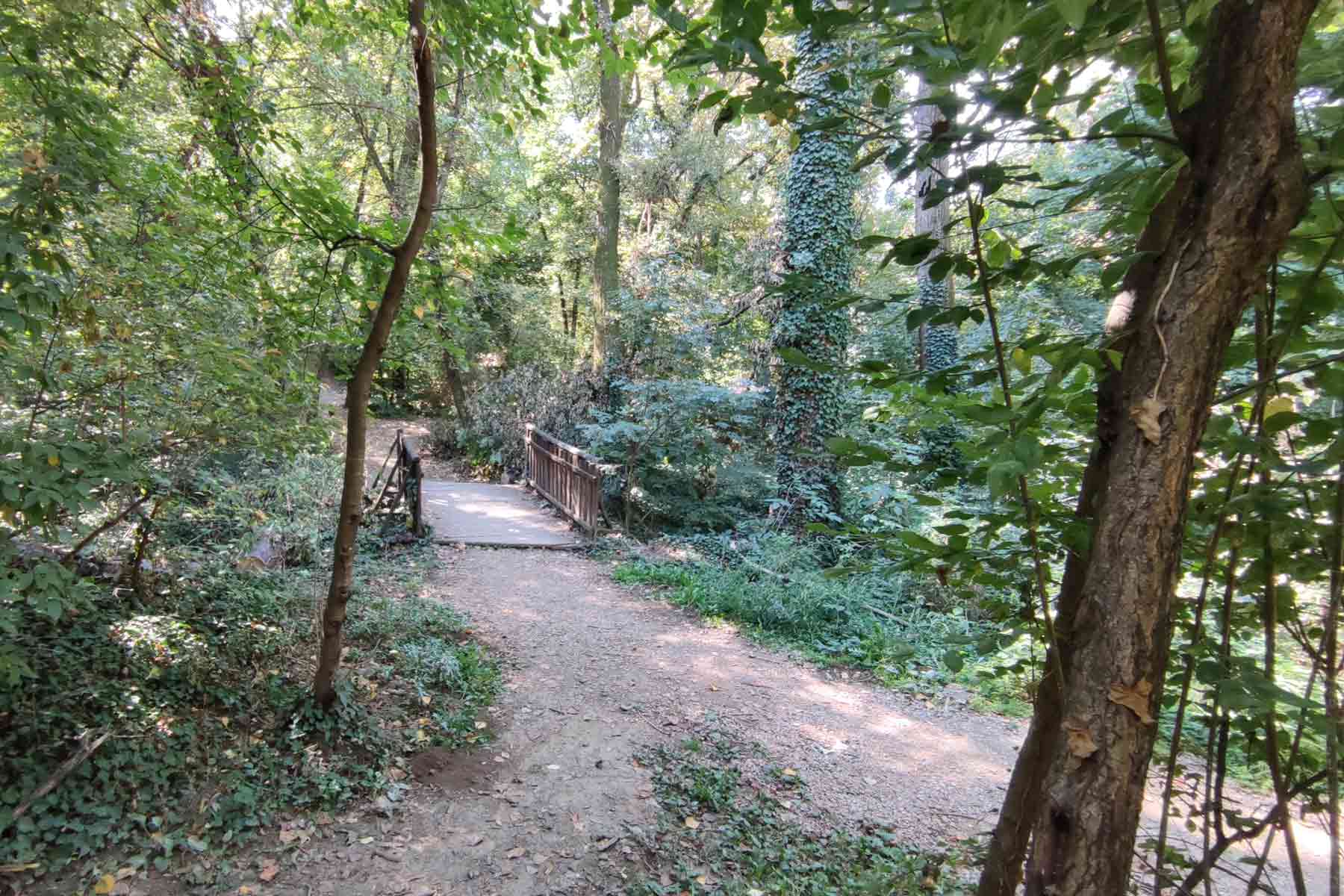 Šumski put u Banjičkoj šumi koji vodi ka mostiću preko Banjičkog potoka