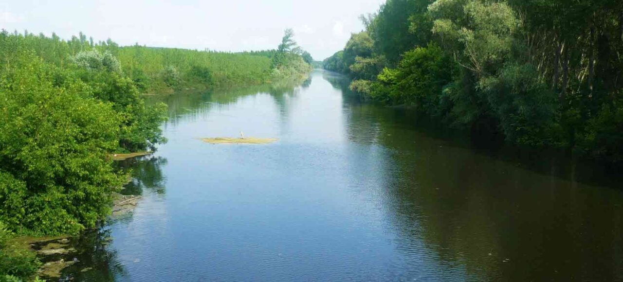 Pecanje u Beogradu - Kanal Karaš