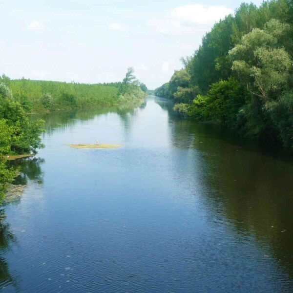 Pecanje u Beogradu - Kanal Karaš