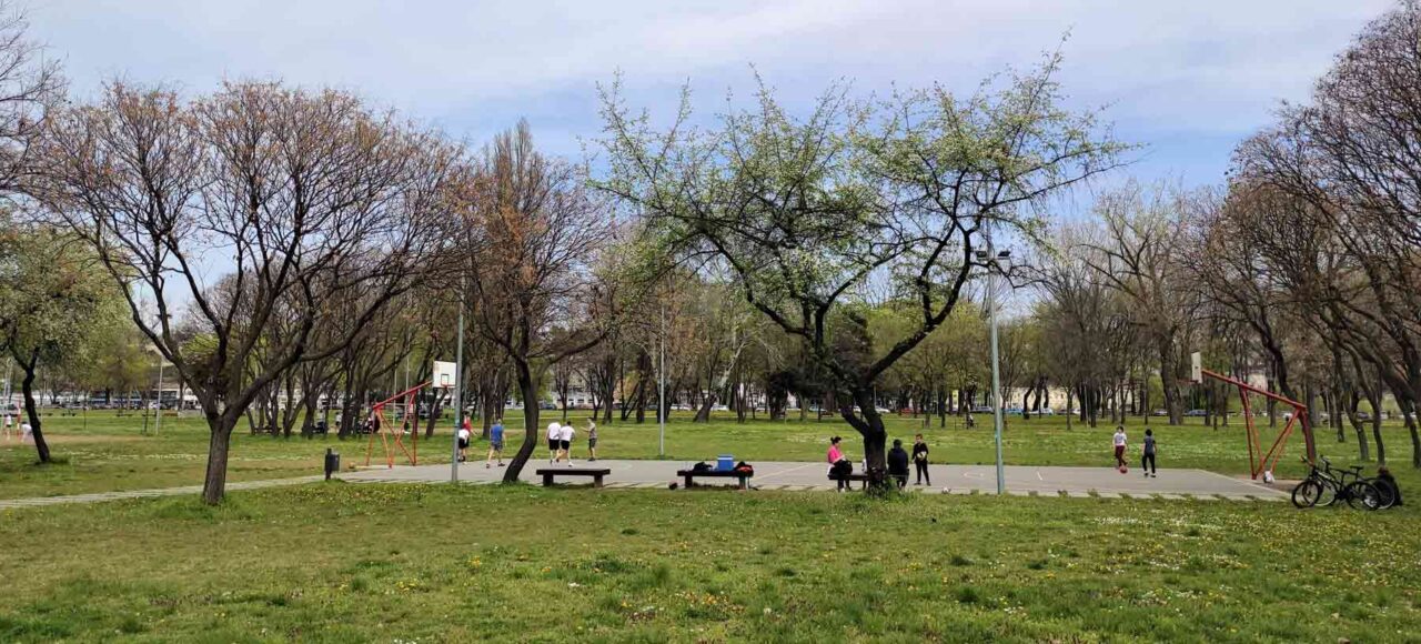 Sport u Beogradu - Park Ušće