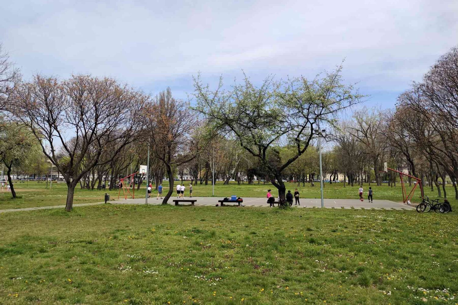 Sport u Beogradu - Park Ušće