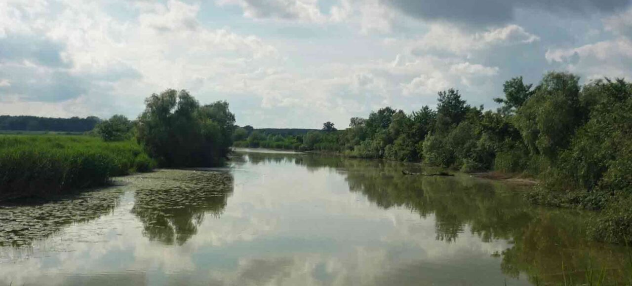 Beogradski kanali su odlična mesta za ribolov i uživanje u prirodi