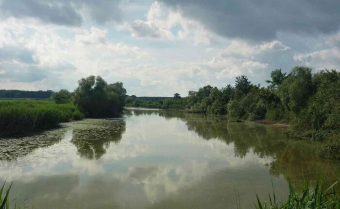 Beogradski kanali su odlična mesta za ribolov i uživanje u prirodi