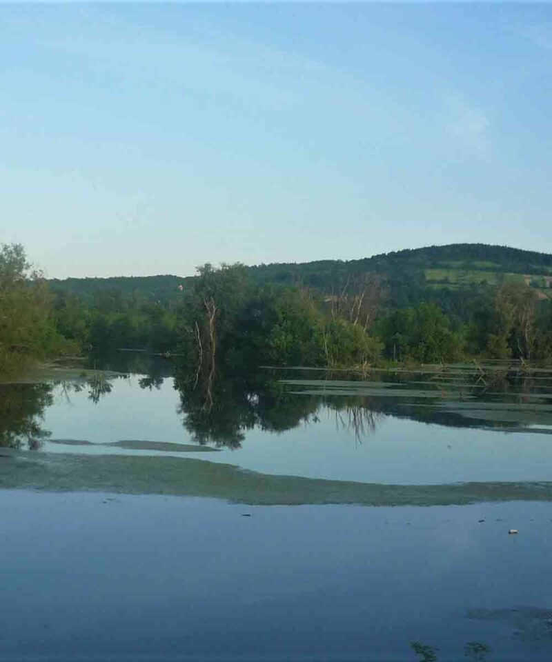 Beogradski kanali - Ilićev dunavac