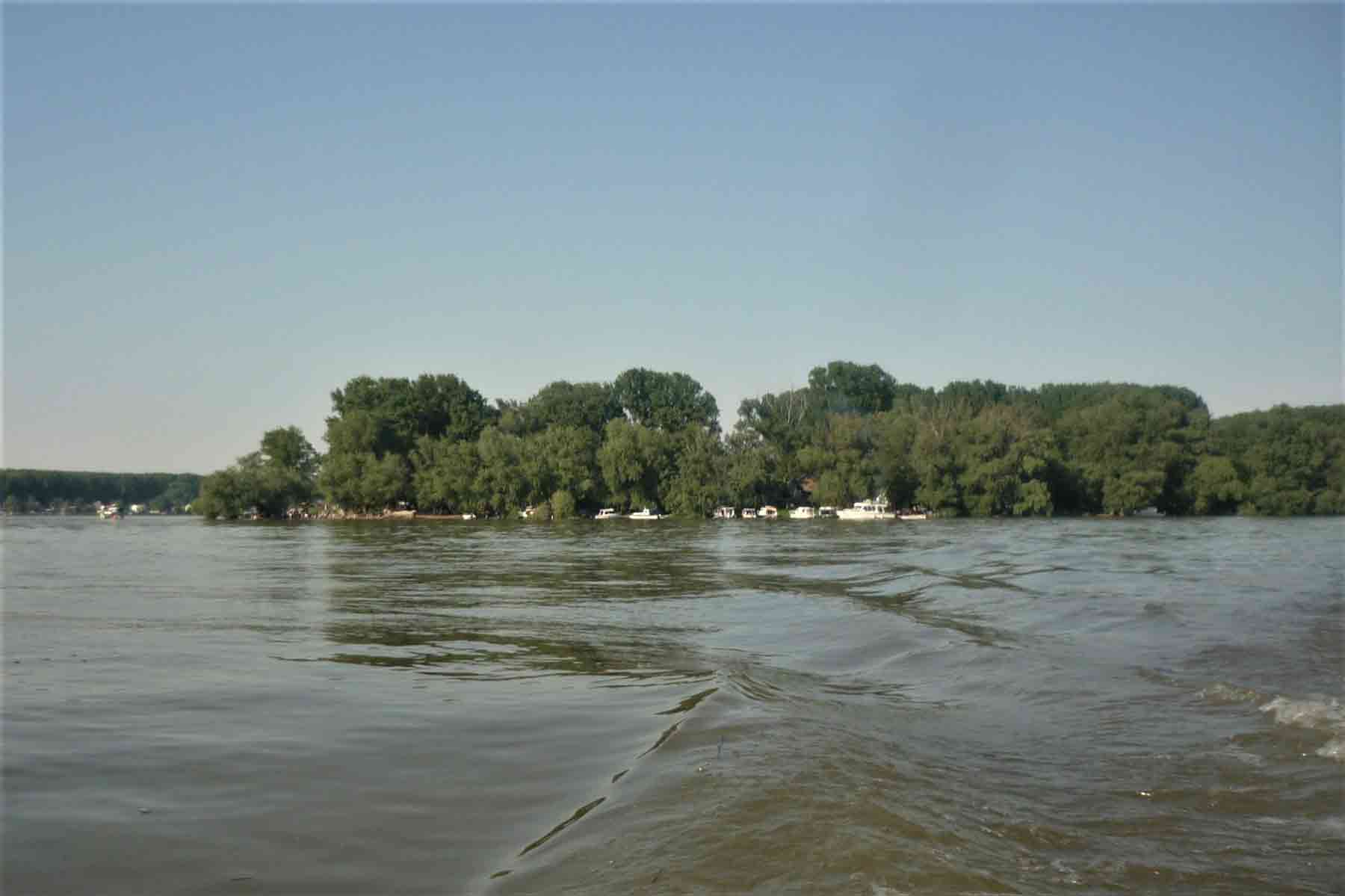 Bela Stena, rečno ostrvo na Dunavu, snimljeno sa vode. U prvom planu je malo pristanište i vegetacija.