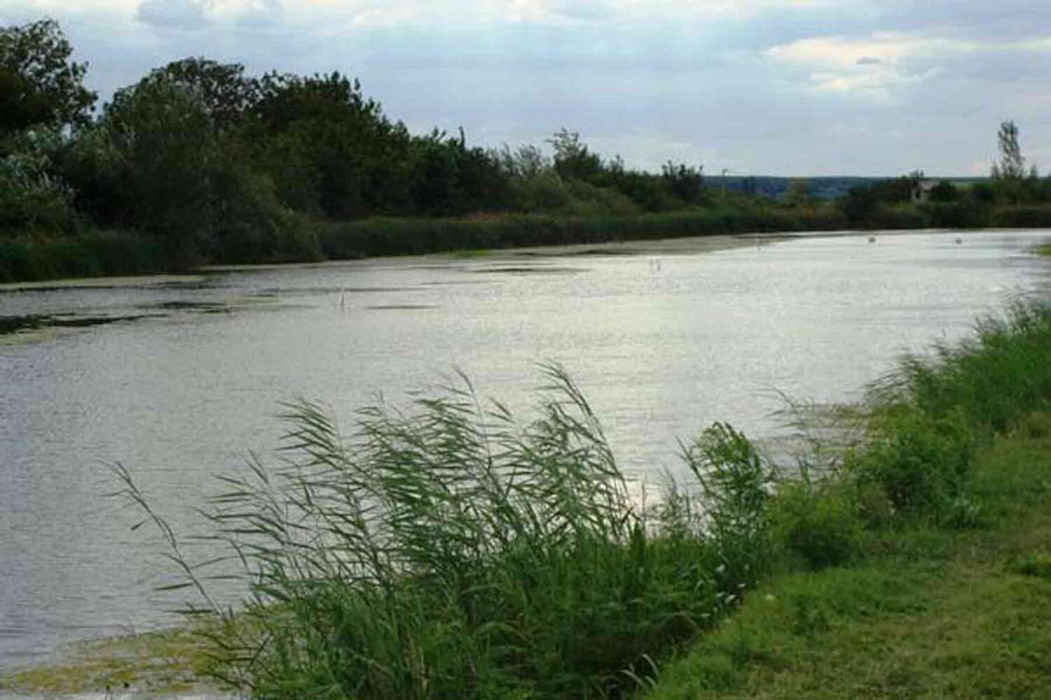 Reke u Beogradu - Borčanska reka