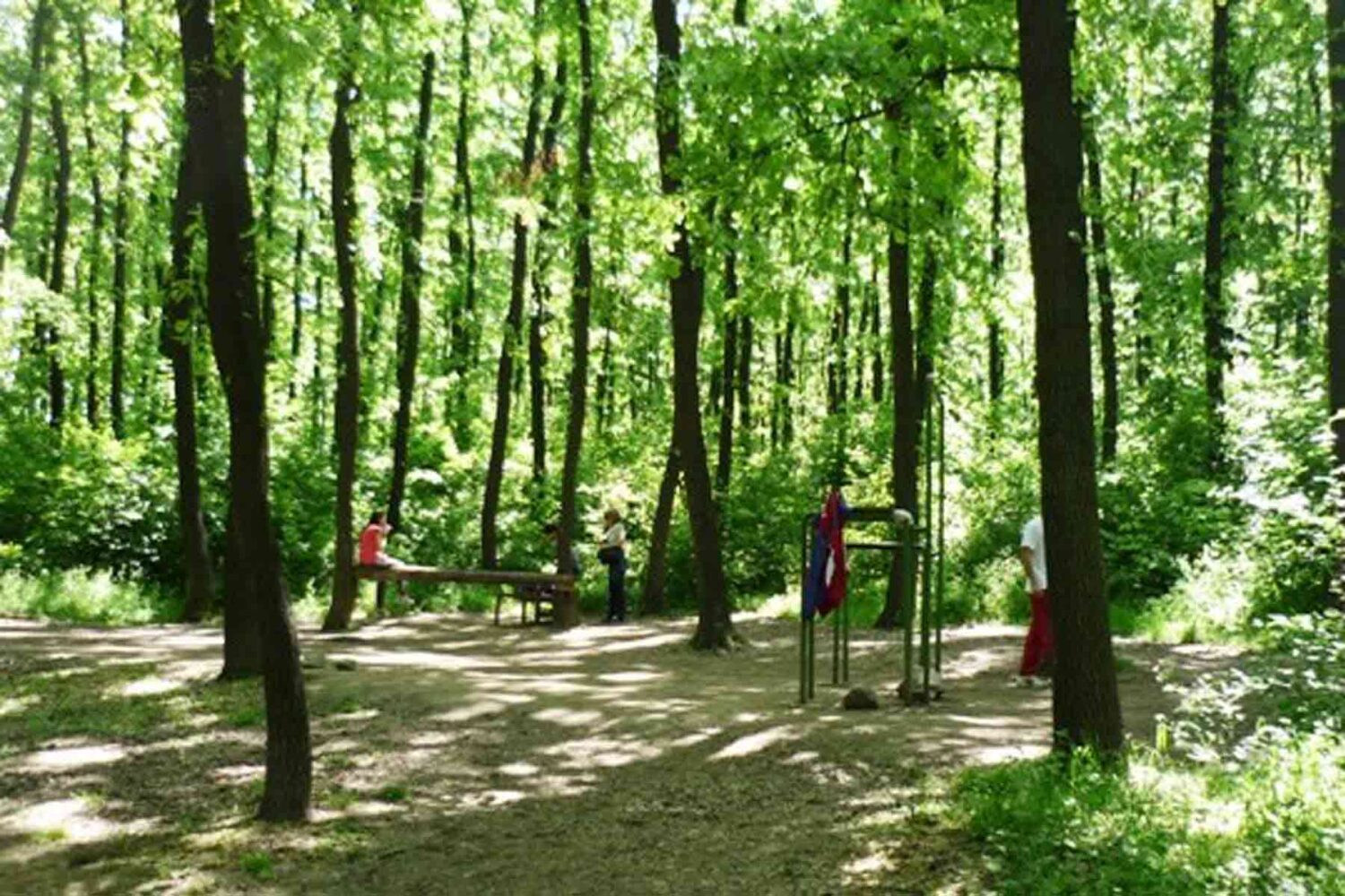 Šume Beograda - Miljakovačka šuma