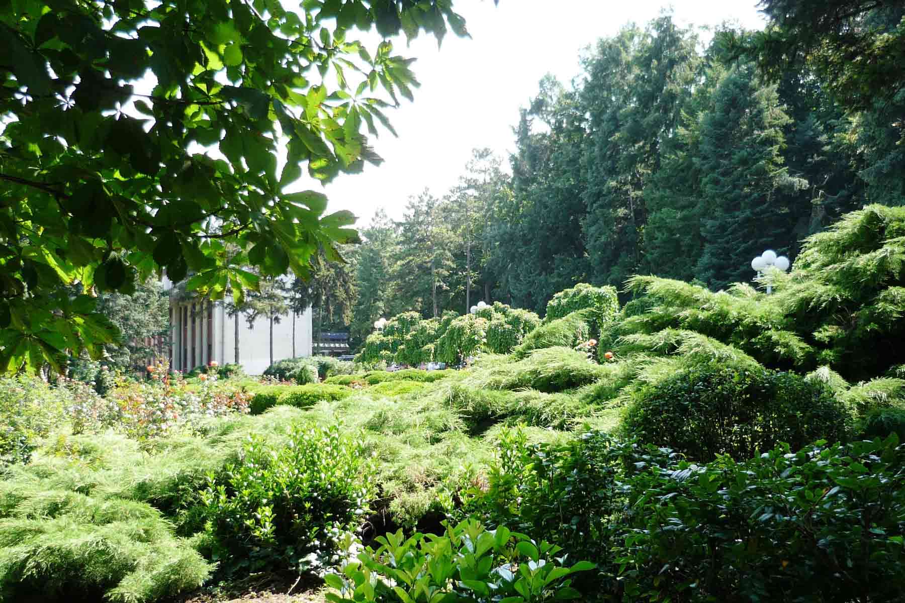 Lekovita voda Selters Banje danas se eksploatiše iz dva izvora