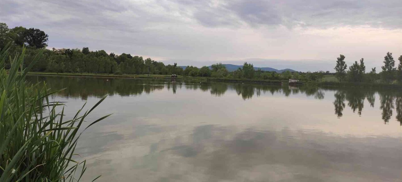 Ribnjak Peca pored Markovačkog jezera, Mladenovac