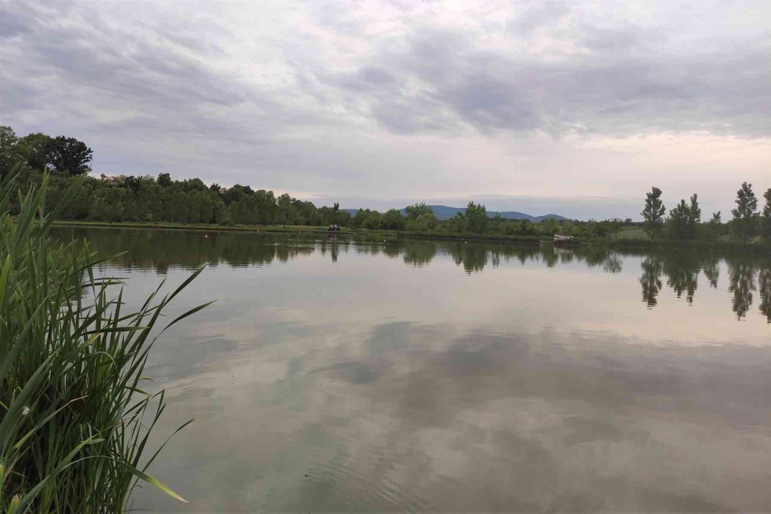 Ribnjak Peca pored Markovačkog jezera, Mladenovac