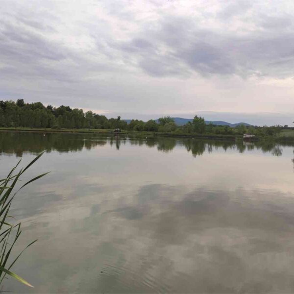 Ribnjak Peca pored Markovačkog jezera, Mladenovac