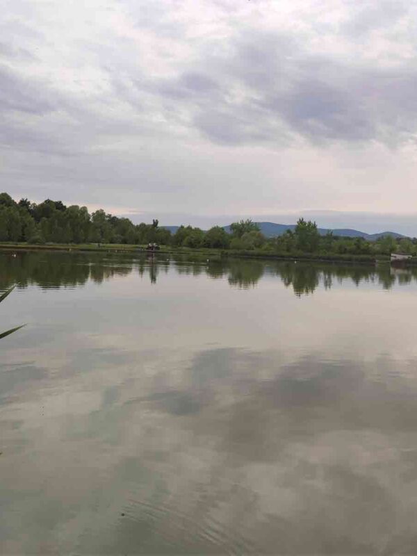 Ribnjak Peca pored Markovačkog jezera, Mladenovac