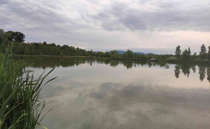 Ribnjak Peca pored Markovačkog jezera, Mladenovac