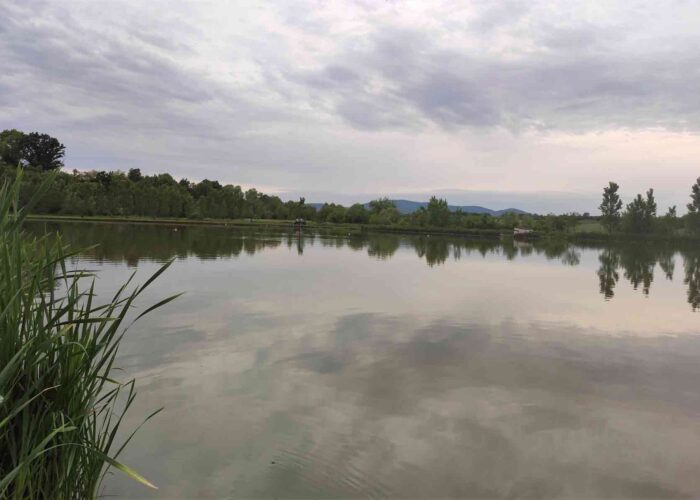 Ribnjak Peca pored Markovačkog jezera, Mladenovac